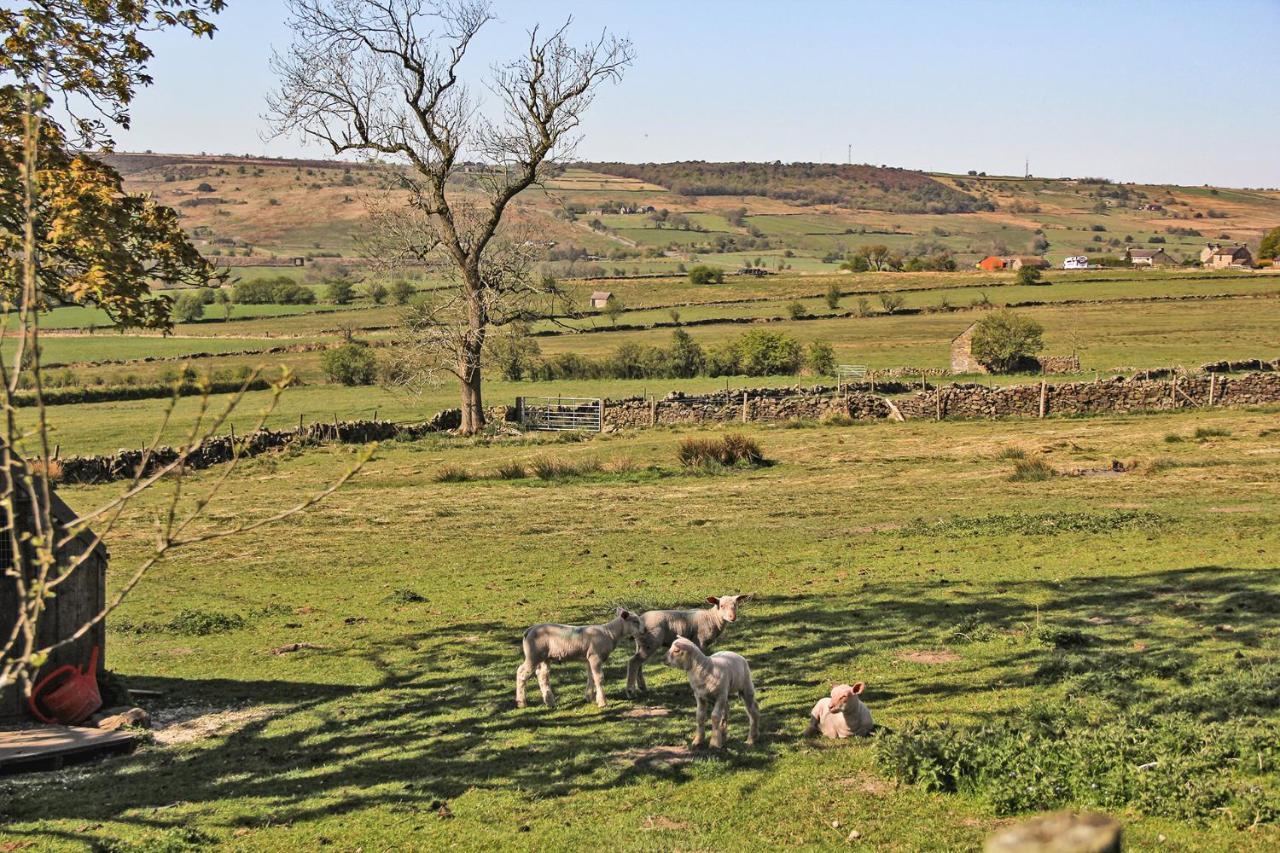 Moorland View Farm B&B Oakamoor エクステリア 写真