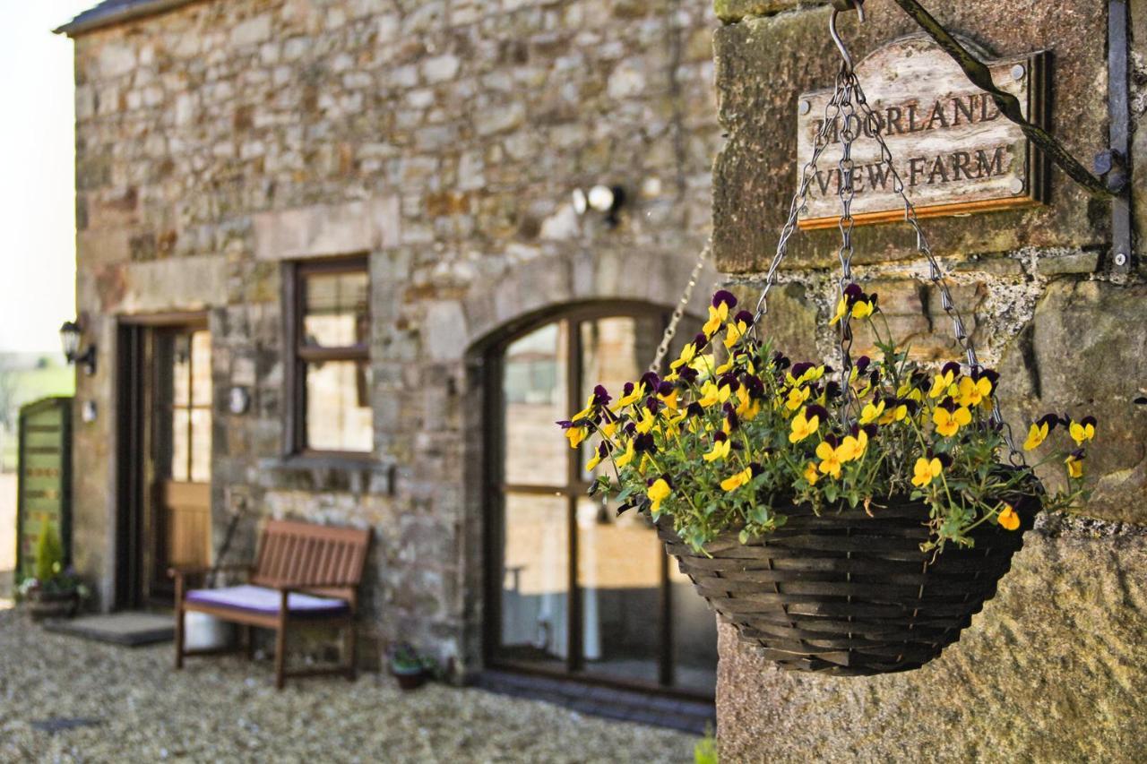 Moorland View Farm B&B Oakamoor エクステリア 写真